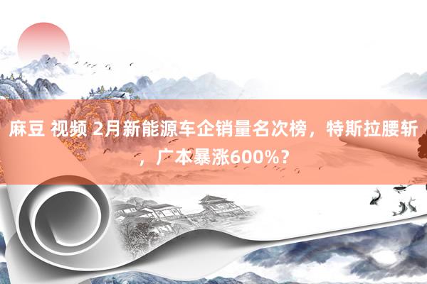 麻豆 视频 2月新能源车企销量名次榜，特斯拉腰斩，广本暴涨600%？