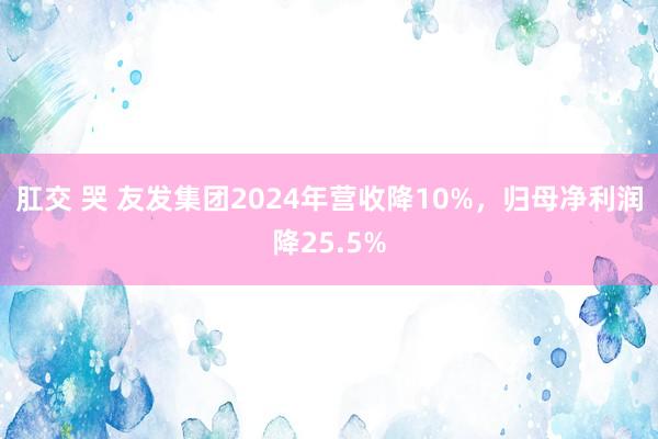 肛交 哭 友发集团2024年营收降10%，归母净利润降25.5%