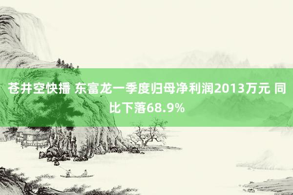 苍井空快播 东富龙一季度归母净利润2013万元 同比下落68.9%