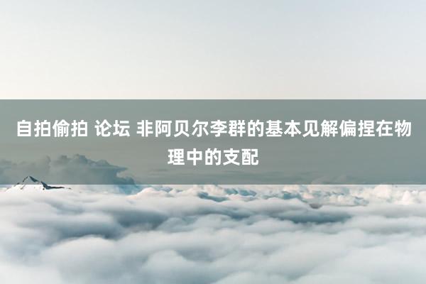 自拍偷拍 论坛 非阿贝尔李群的基本见解偏捏在物理中的支配