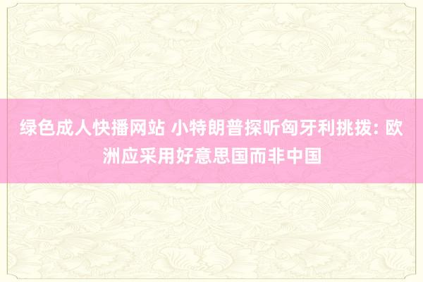 绿色成人快播网站 小特朗普探听匈牙利挑拨: 欧洲应采用好意思国而非中国