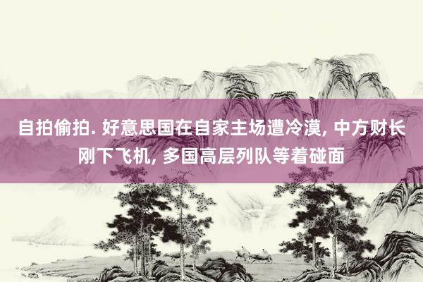 自拍偷拍. 好意思国在自家主场遭冷漠, 中方财长刚下飞机, 多国高层列队等着碰面
