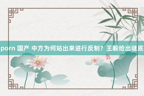porn 国产 中方为何站出来进行反制？王毅给出谜底