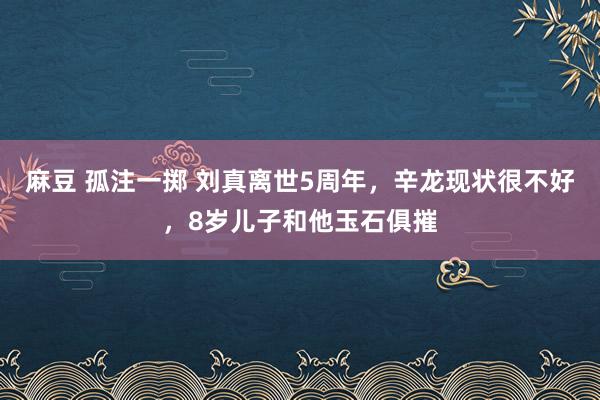 麻豆 孤注一掷 刘真离世5周年，辛龙现状很不好，8岁儿子和他玉石俱摧